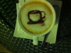Café Sloop
